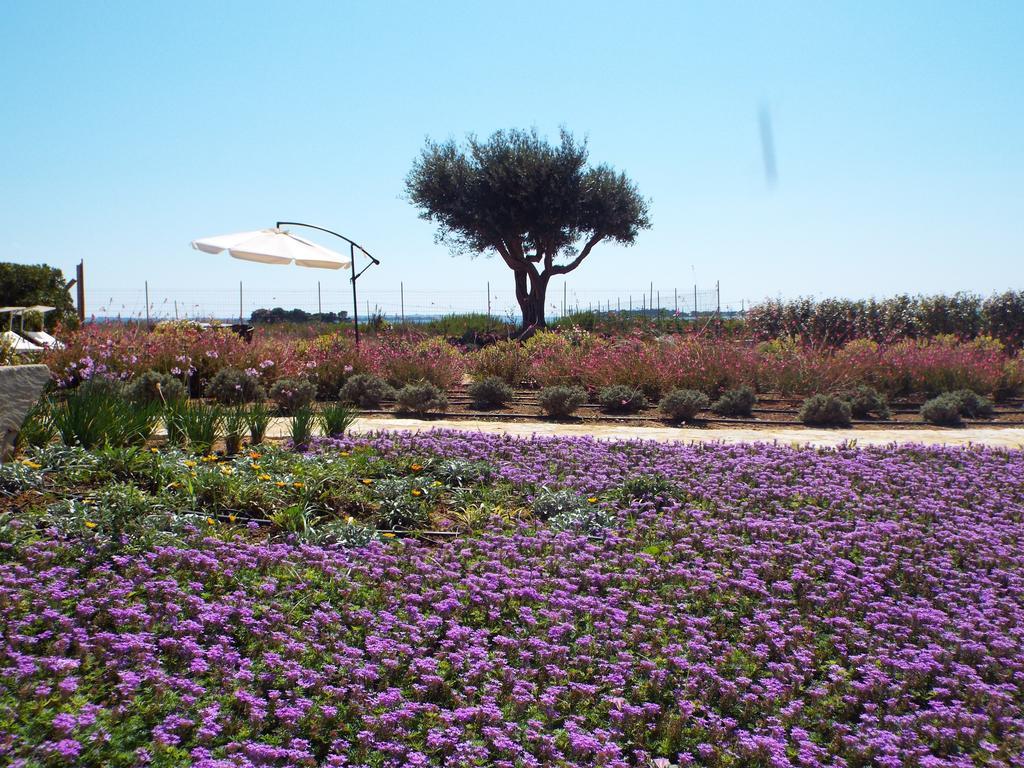 בירג'י וקי Borgo Della Luna חדר תמונה